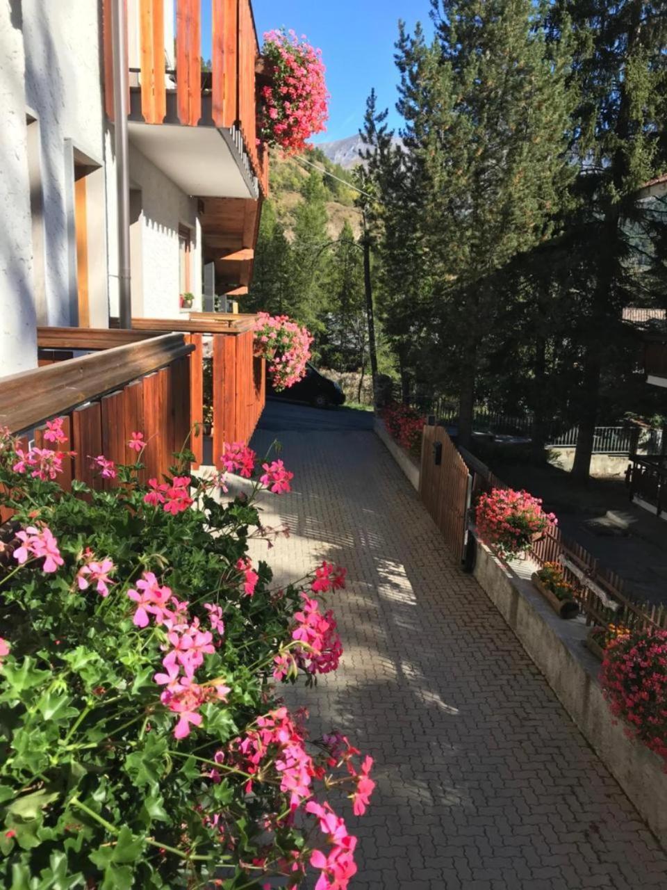 Hotel La Nigritella Bardonecchia Dış mekan fotoğraf
